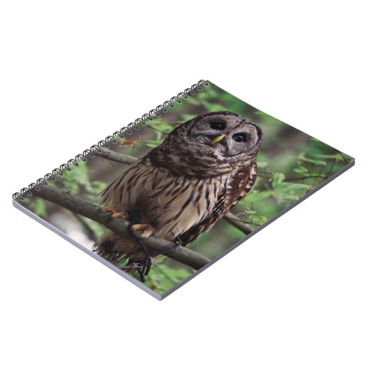 Barred Owl notebook Notitieboek (Linkerzijde)
