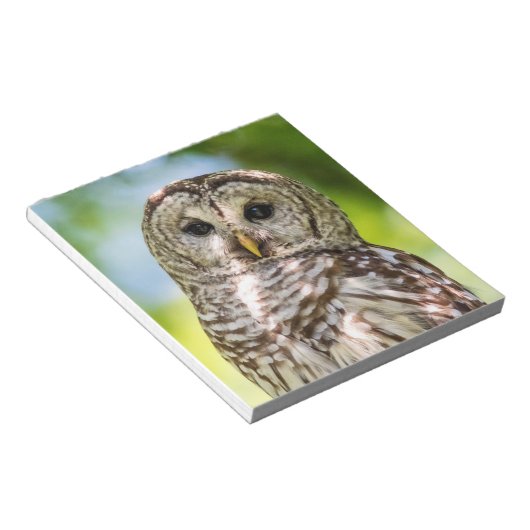 Barred Owl Notitieblok (Schuin)