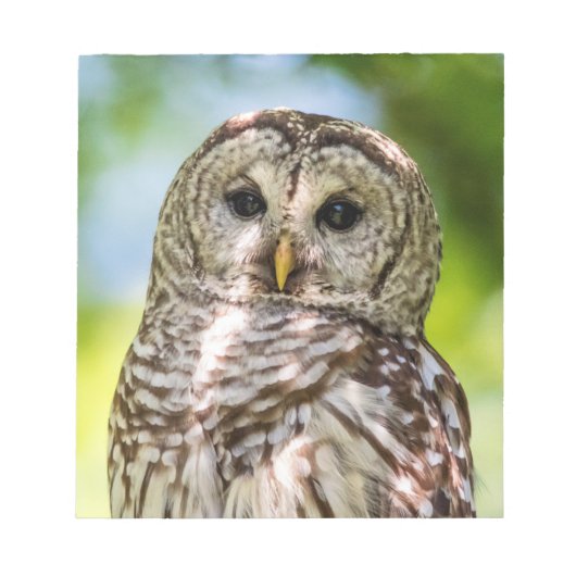 Barred Owl Notitieblok (Voorkant)