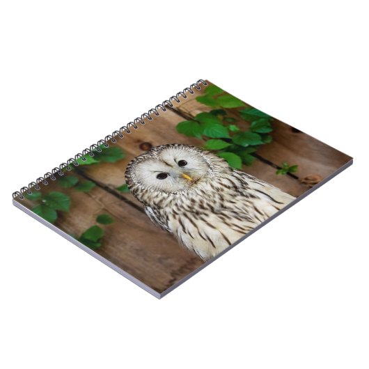 Barred Owl Notitieboek (Linkerzijde)