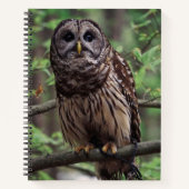 Barred Owl Notitieboek (Voorkant)