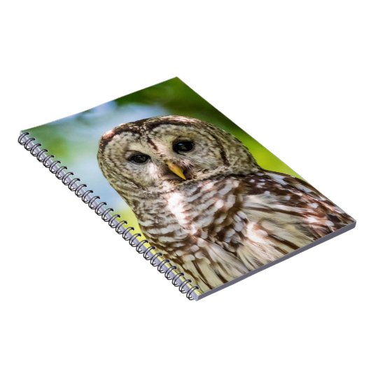 Barred Owl Notitieboek (Rechterzijde)