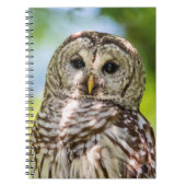 Barred Owl Notitieboek (Voorkant)
