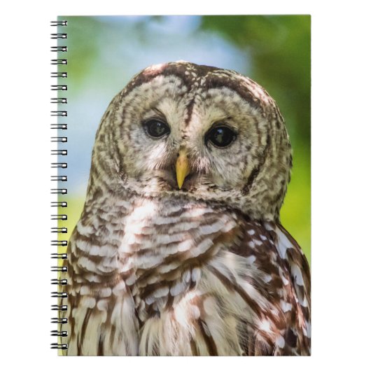 Barred Owl Notitieboek (Voorkant)