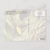 Barred Owl of Hoot Owl Briefkaart (Achterkant)