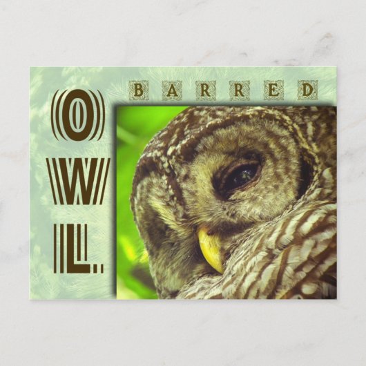 Barred Owl of Hoot Owl Briefkaart (Voorkant)