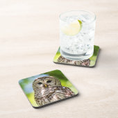 Barred Owl Onderzetter (Rechterzijde)