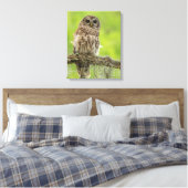 Barred Owl op boomarm Canvas Afdruk (Insitu (Slaapkamer))