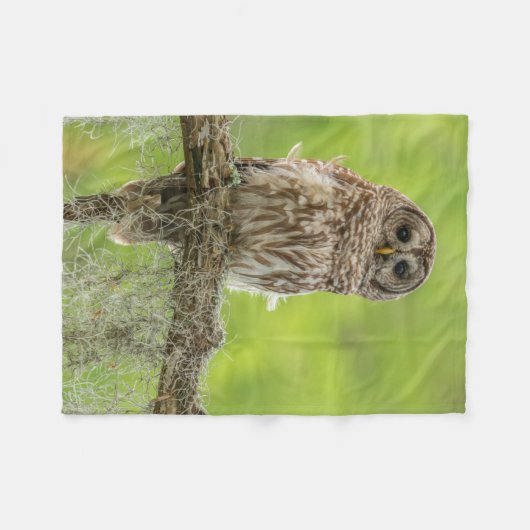 Barred Owl op boomarm Fleece Deken (Voorkant (Horizontaal))