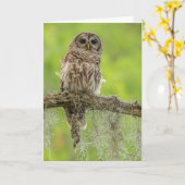 Barred Owl op boomarm Kaart (Gele Bloem)