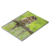Barred Owl op boomarm Notitieboek (Linkerzijde)