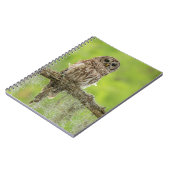Barred Owl op boomarm Notitieboek (Linkerzijde)