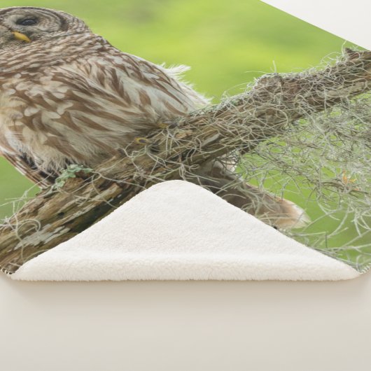 Barred Owl op boomarm Sherpa Deken (3/4)