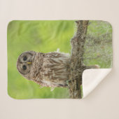 Barred Owl op boomarm Sherpa Deken (Voorkant (horizontaal))