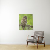 Barred Owl op boomarm Wandkleed (In situ)