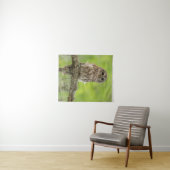 Barred Owl op boomarm Wandkleed (In Situ (horizontaal))