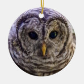 Barred Owl Ornament (Voorkant)