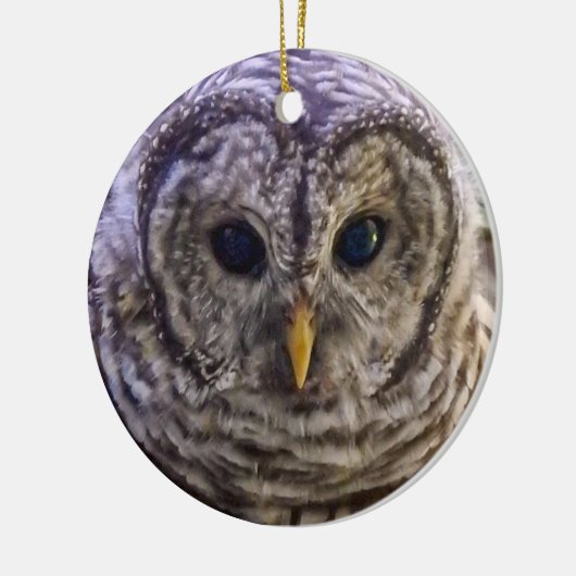 Barred Owl Ornament (Links)