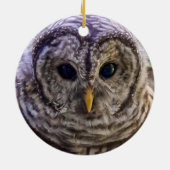 Barred Owl Ornament (Achterkant)