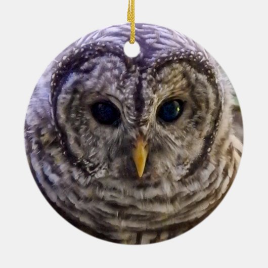 Barred Owl Ornament (Achterkant)