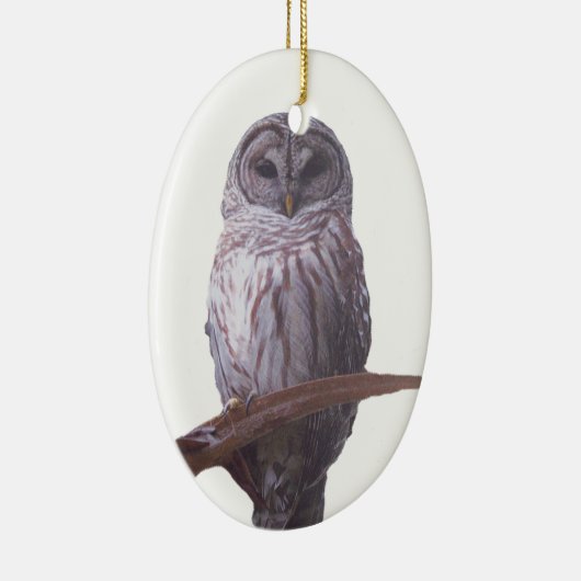 Barred Owl Ornament (Rechts)