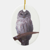 Barred Owl Ornament (Voorkant)