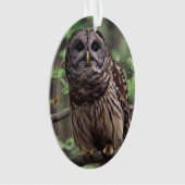 Barred Owl Ornament (voorkant)