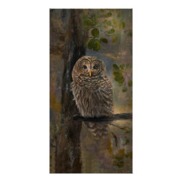 Barred Owl Painting 14 x 28 Perfect Poster