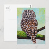 Barred Owl Painting Briefkaart (Voorkant / Achterkant)