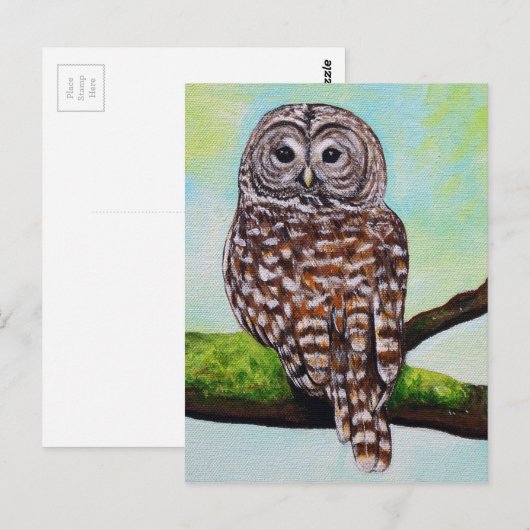 Barred Owl Painting Briefkaart (Voorkant / Achterkant)