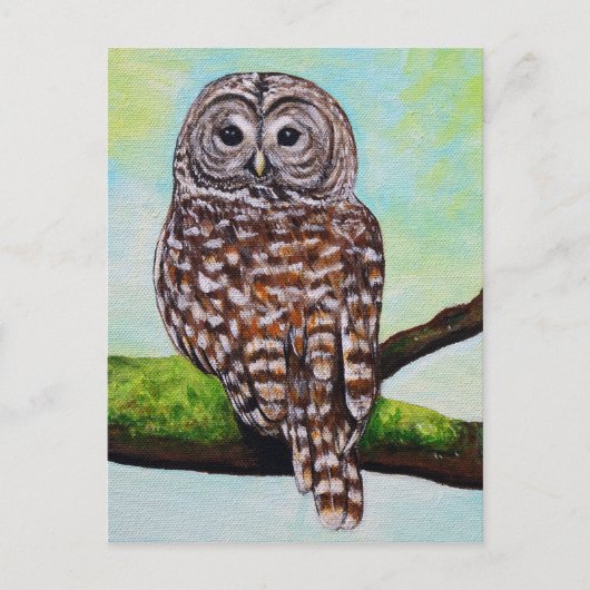 Barred Owl Painting Briefkaart (Voorkant)