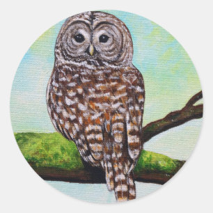 Barred Owl Painting Ronde Sticker
