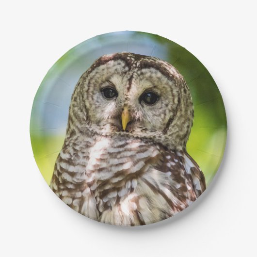 Barred Owl Papieren Bordje (Voorkant)