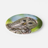Barred Owl Papieren Bordje (Gekanteld)