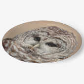 Barred Owl Papieren Bordje (Gekanteld)
