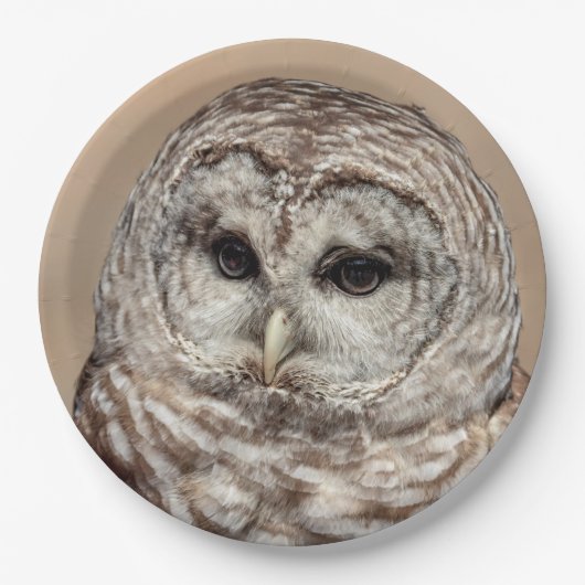Barred Owl Papieren Bordje (Voorkant)