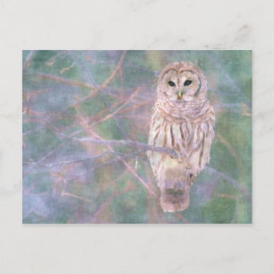 Barred Owl Pastel Digital Oilschilderij Briefkaart