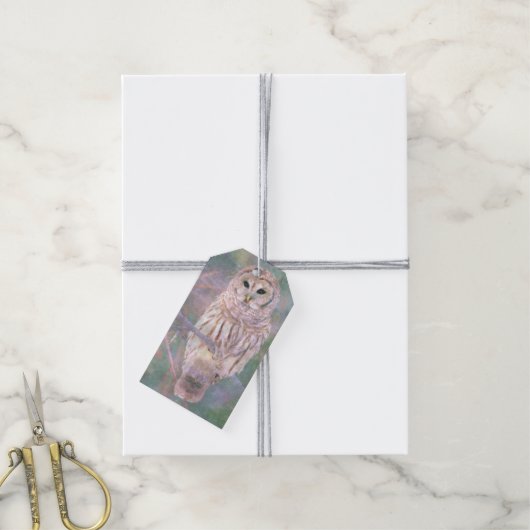 Barred Owl Pastel Digital Oilschilderij Cadeaulabel (Met Touw)