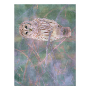 Barred Owl Pastel Digital Oilschilderij Poster