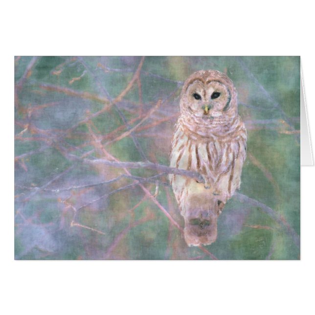 Barred Owl Pastel Oilschilderij (Voorkant Horizontaal)