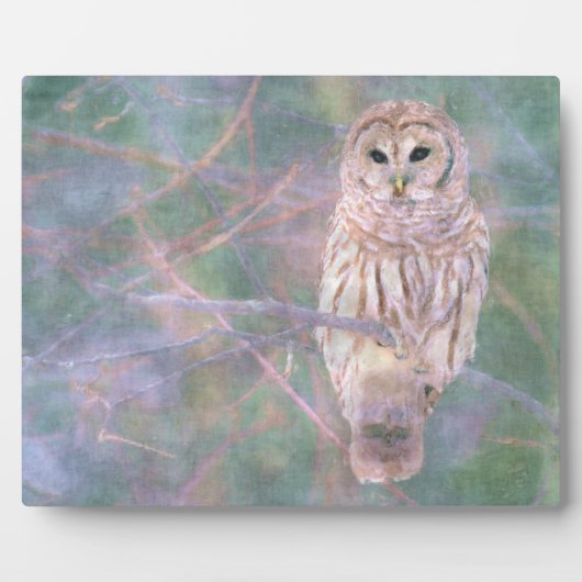 Barred Owl Pastel Oilschilderij Fotoplaat (Voorkant)