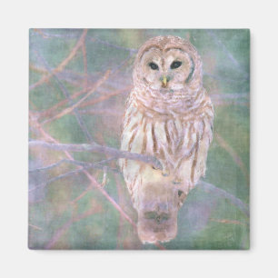 Barred Owl Pastel Oilschilderij Magneet