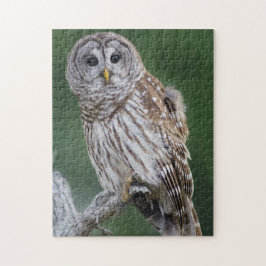 Barred Owl Perching Wildlife Puzzle Legpuzzel