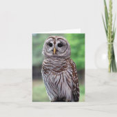 Barred Owl Photo Folded Note Kaart (Voorkant)