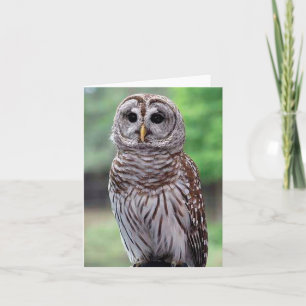 Barred Owl Photo Folded Note Kaart