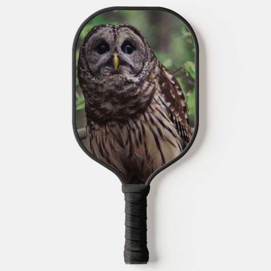 Barred Owl Pickleball Paddle (Voorkant)
