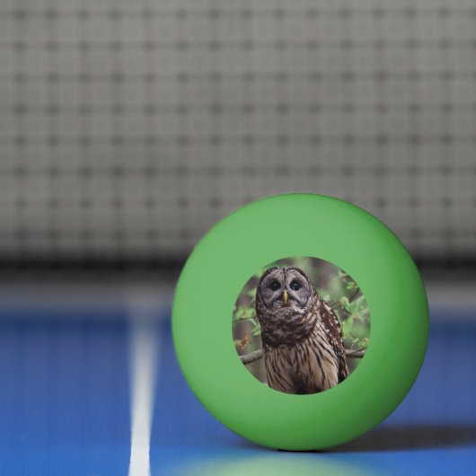Barred Owl Pingpongbal (Net)