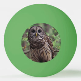 Barred Owl Pingpongbal