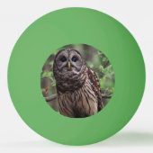 Barred Owl Pingpongbal (Achterkant)