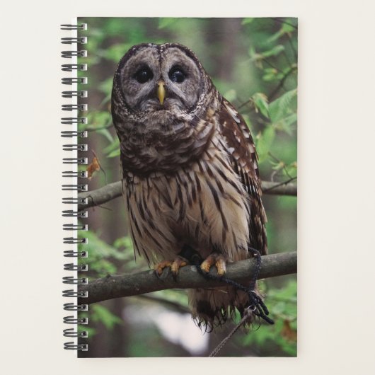 Barred Owl Planner (Voorkant)